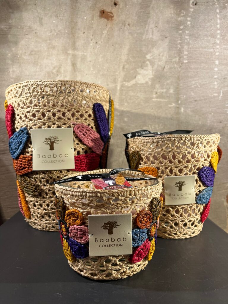 Baobab Tournesol Girasol Max 24 16 & 10