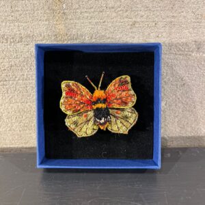 Broche Maderensis Felder Butterlfy