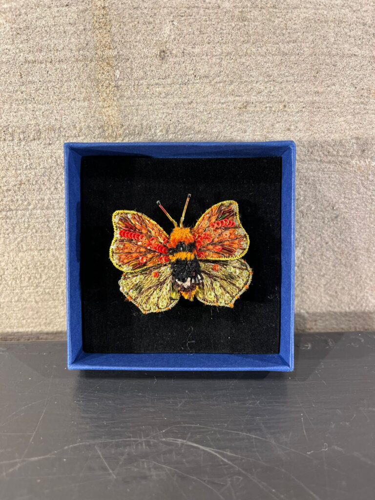 Broche Maderensis Felder Butterlfy