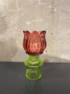 Tulp waxine bordeaux