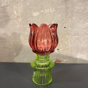 Tulp waxine bordeaux