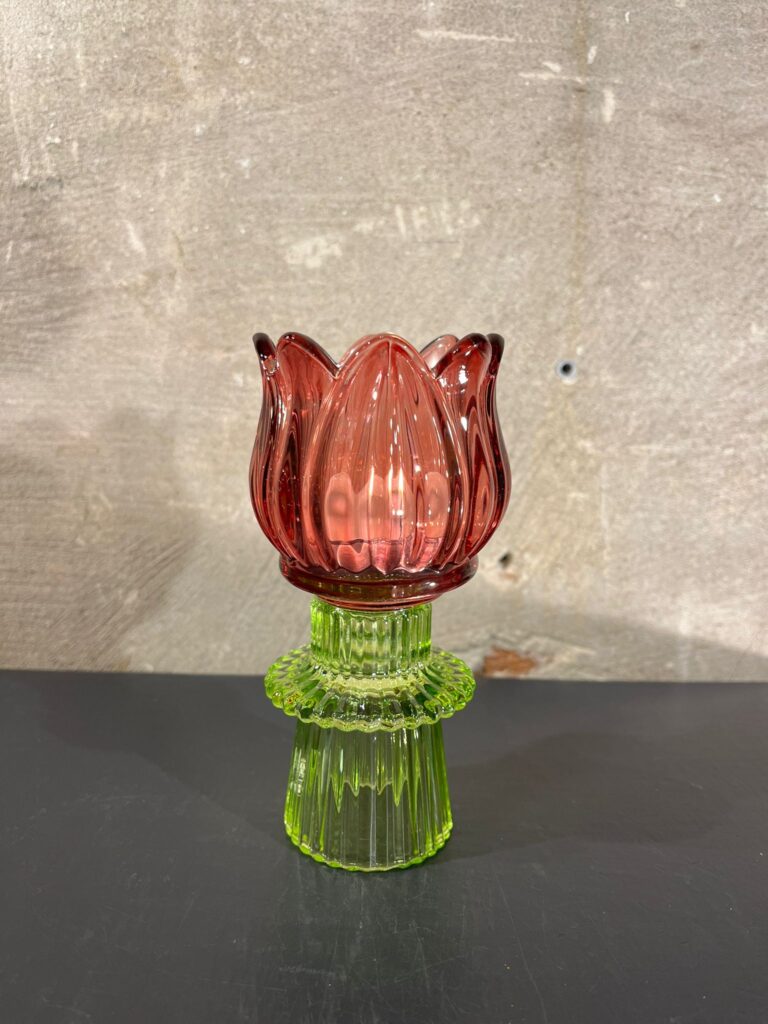 Tulp waxine bordeaux