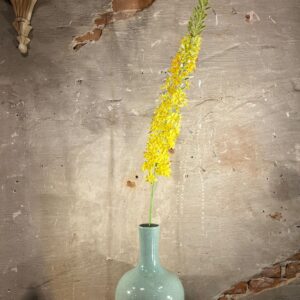 Zijden Eremurus geel