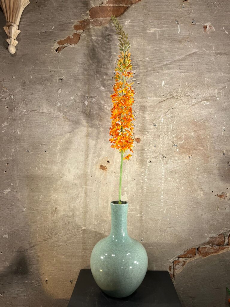 Zijden Eremurus oranje