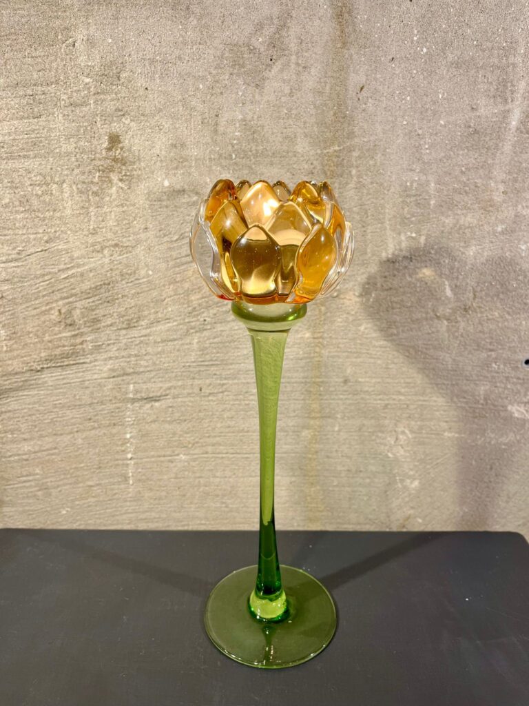Lotus waxine oranje
