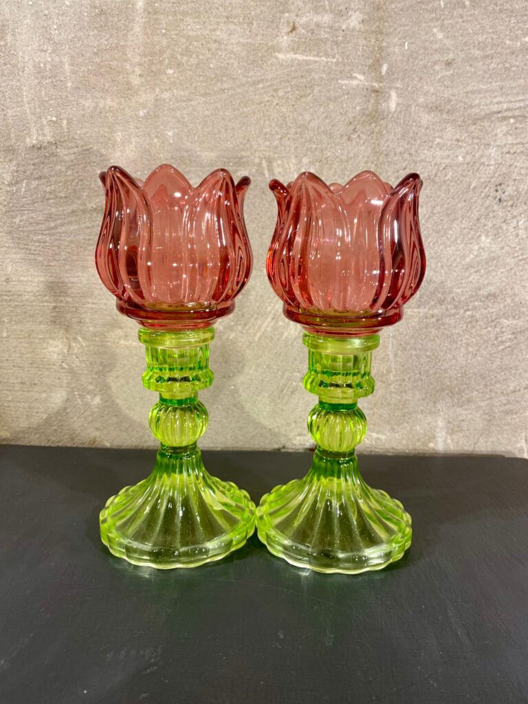 Set tulpen waxines set van 2 kleur rood