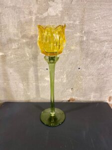 Tulpen waxine kleur geel
