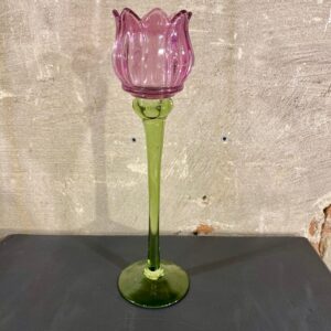 Tulpen waxine kleur paars