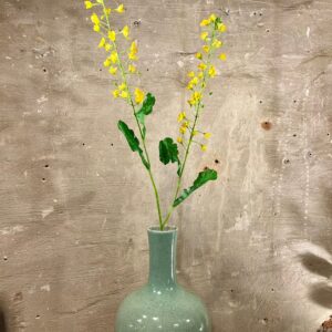 Zijden primula geel