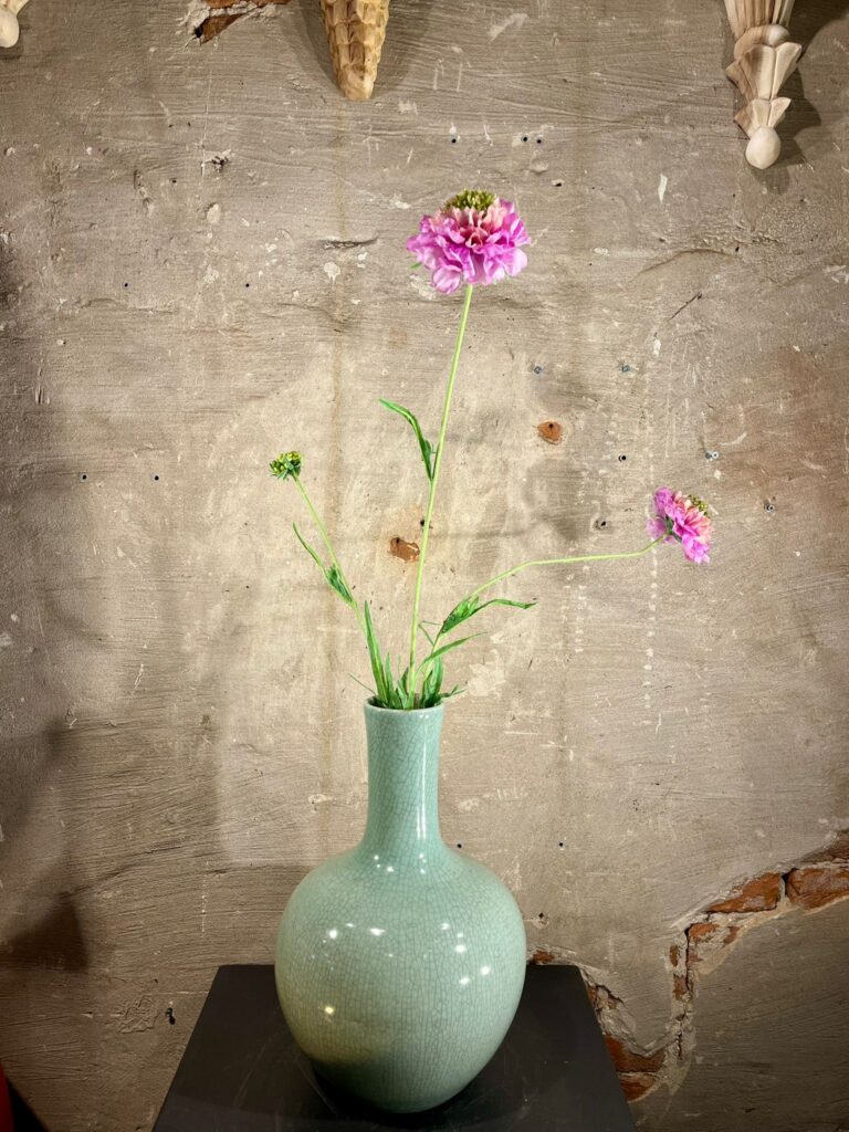 Zijden scabiosa roze
