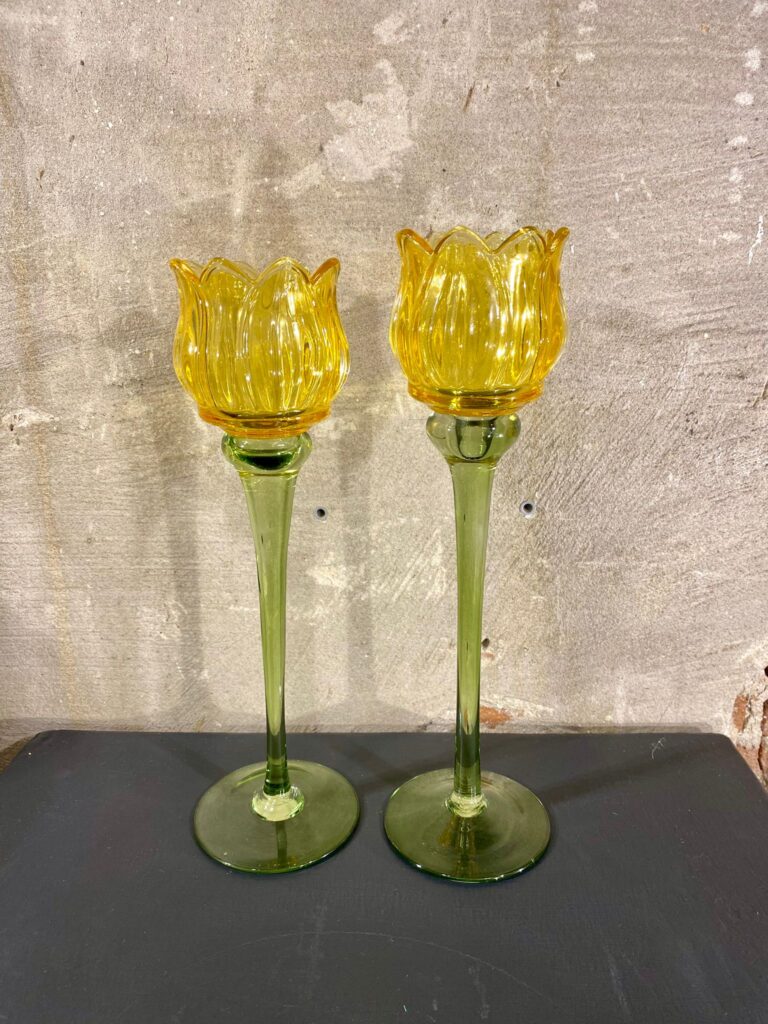 set tulpen waxines set van 2 kleur geel