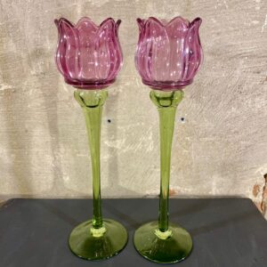 set tulpen waxines set van 2 kleur paars