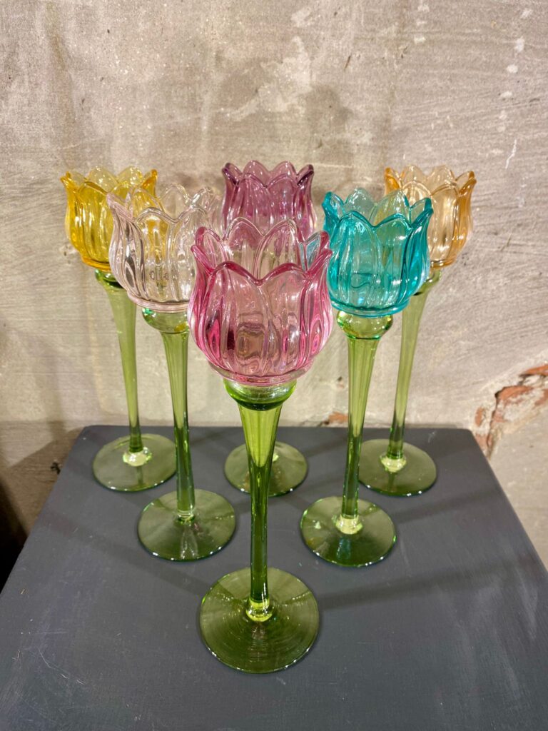 set tulpen waxines set van 6 mix kleuren