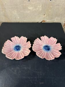 set van twee bordjes cosmea roze