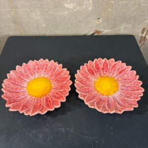 set van twee bordjes zinnia roze