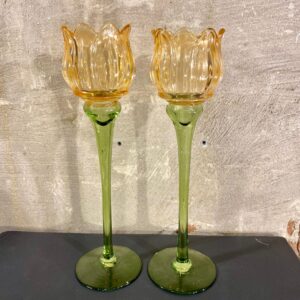 set waxine tulpen set van 2 kleur zalm roze