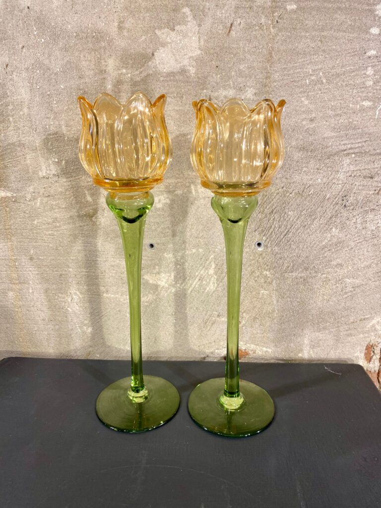 set waxine tulpen set van 2 kleur zalm roze